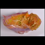 Honey's Bloom 6 x 11 x 9 in.JPG